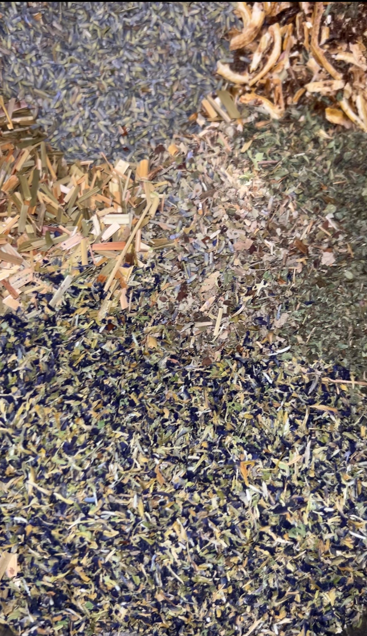 Lavender Dreams